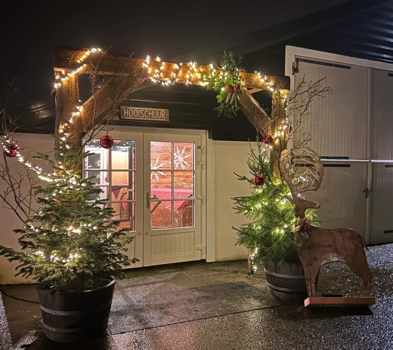 kerstsfeer-boerengoed