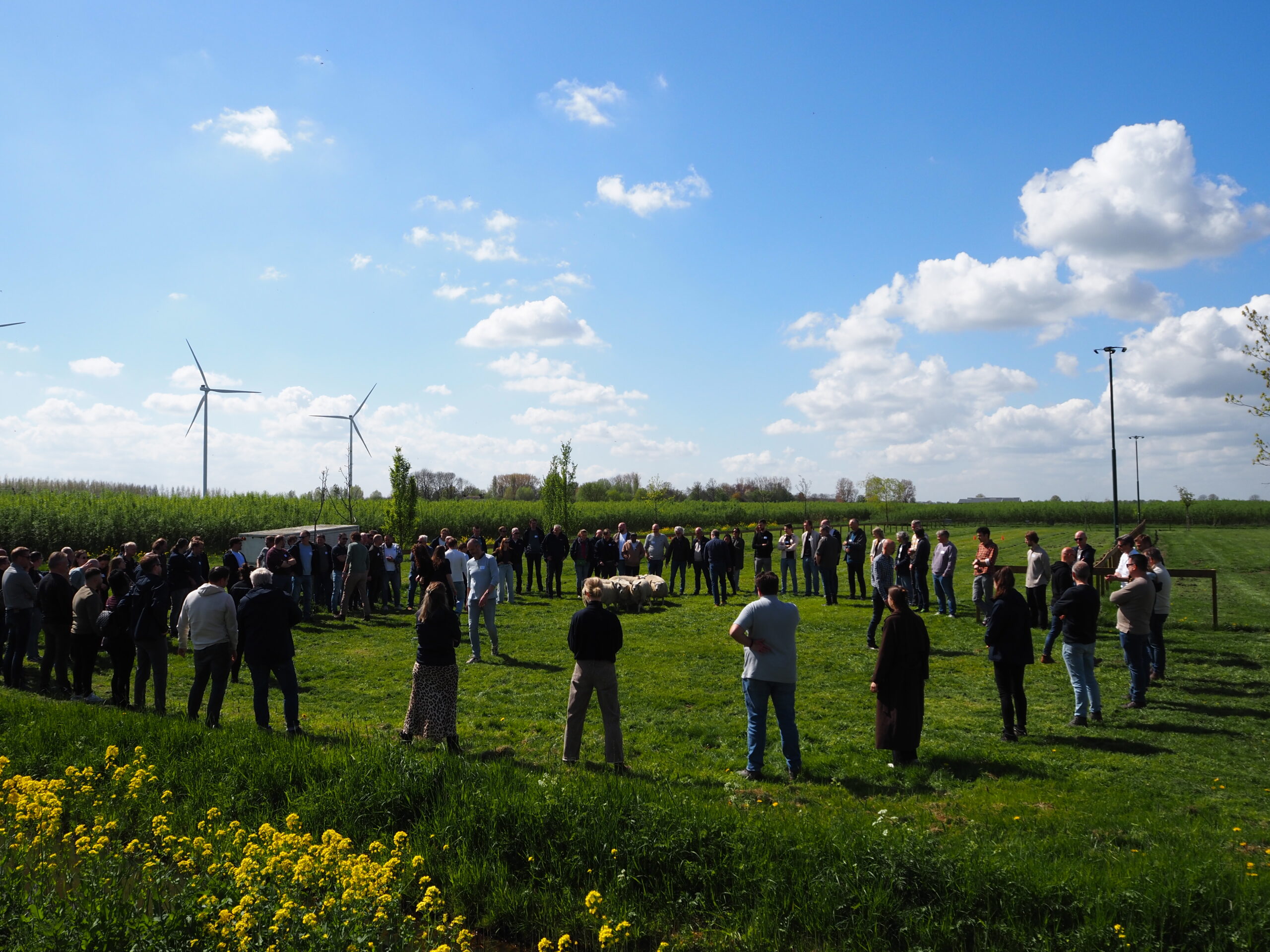 Boerengoed Schapendrijf workshop